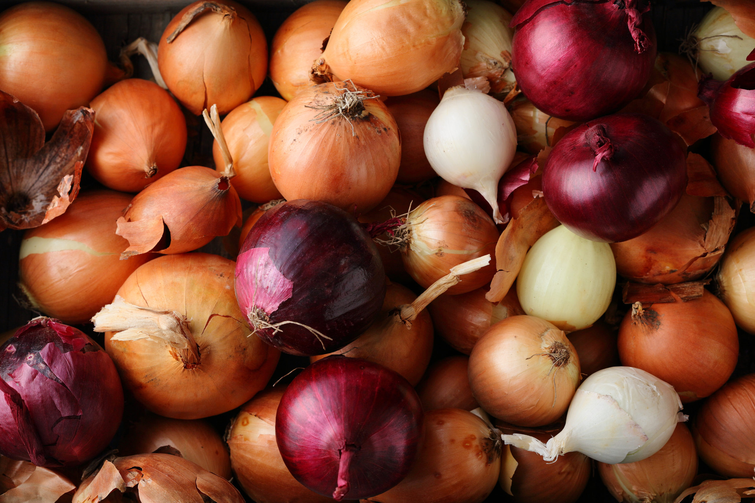 Onion Recall Expands After 800 Sickened With Salmonella Burns & Wilcox