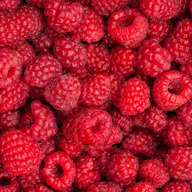 Traffic ‘Jam’: Washington Farm Loses Harvest when Thousands of Raspberries Spill from Truck